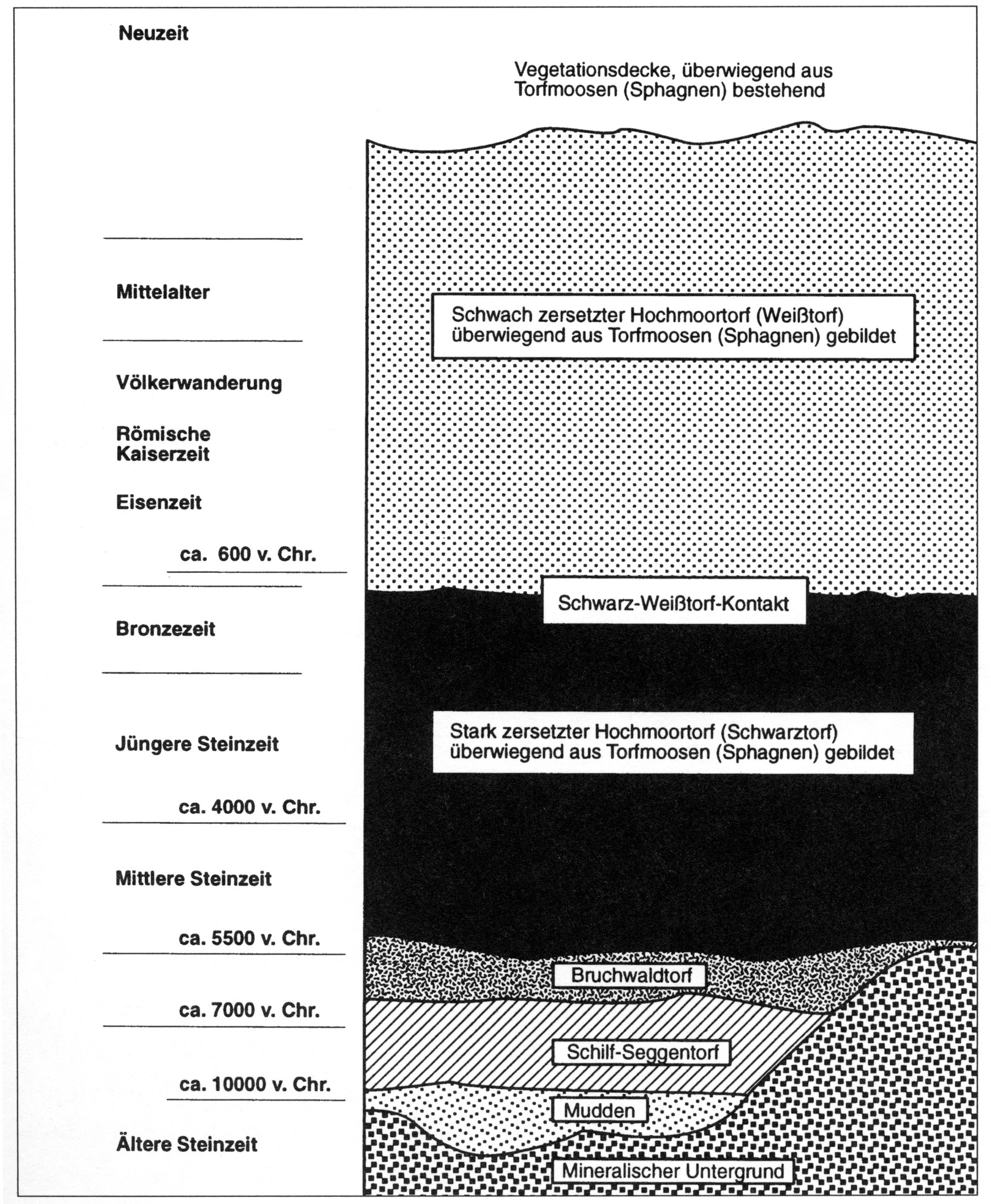 Moor Schemazeichnung